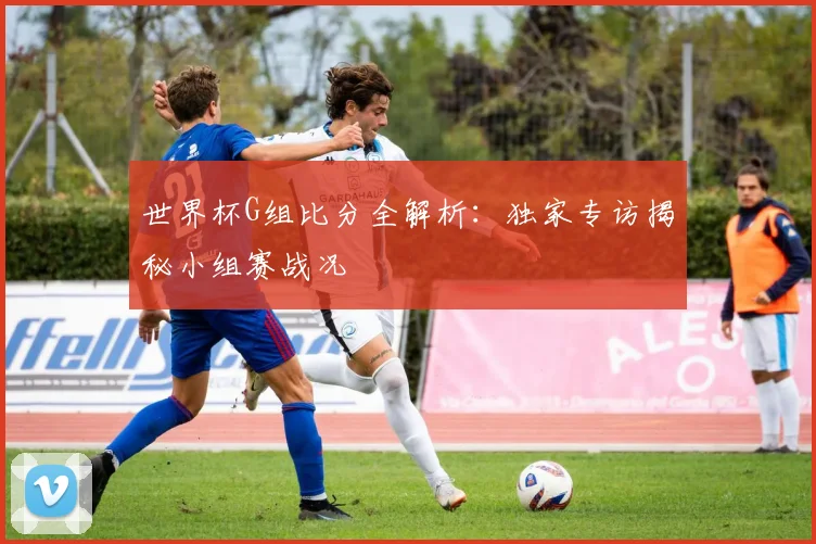 世界杯G组比分全解析：独家专访揭秘小组赛战况