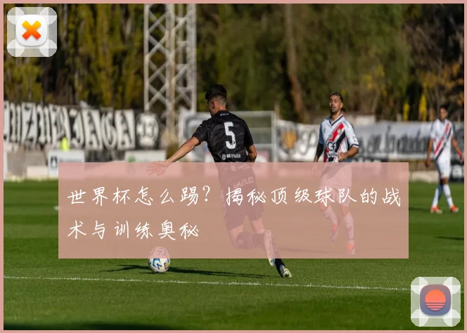 世界杯怎么踢?揭秘顶级球队的战术与训练奥秘