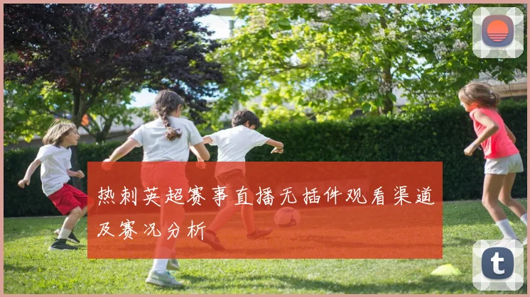 热刺英超赛事直播无插件观看渠道及赛况分析