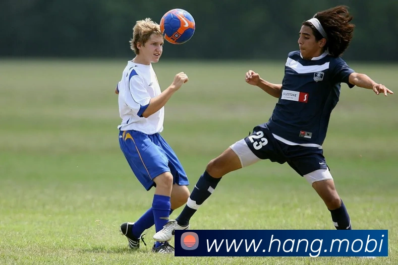 云开app官网登录入口平台生态图