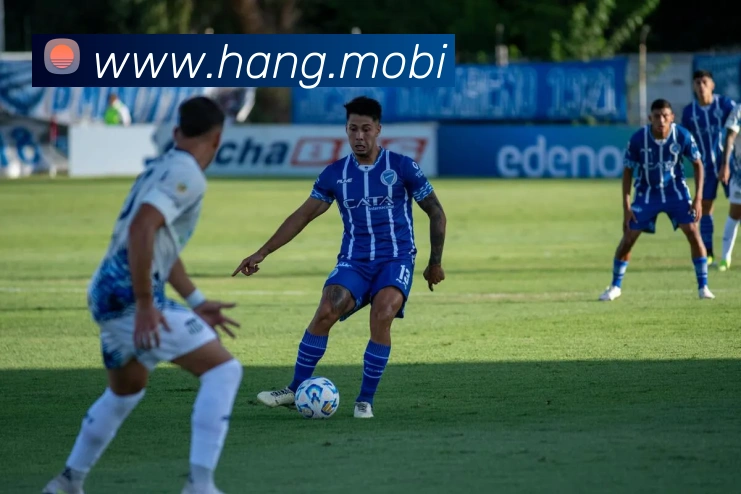 云开app官网登录入口全站App